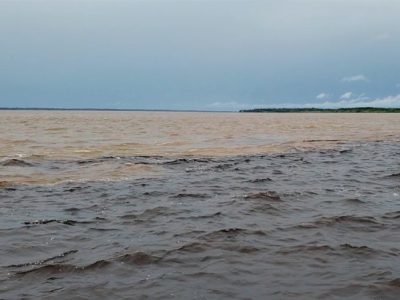 Venha viver o mais completo passeio na Amazônia