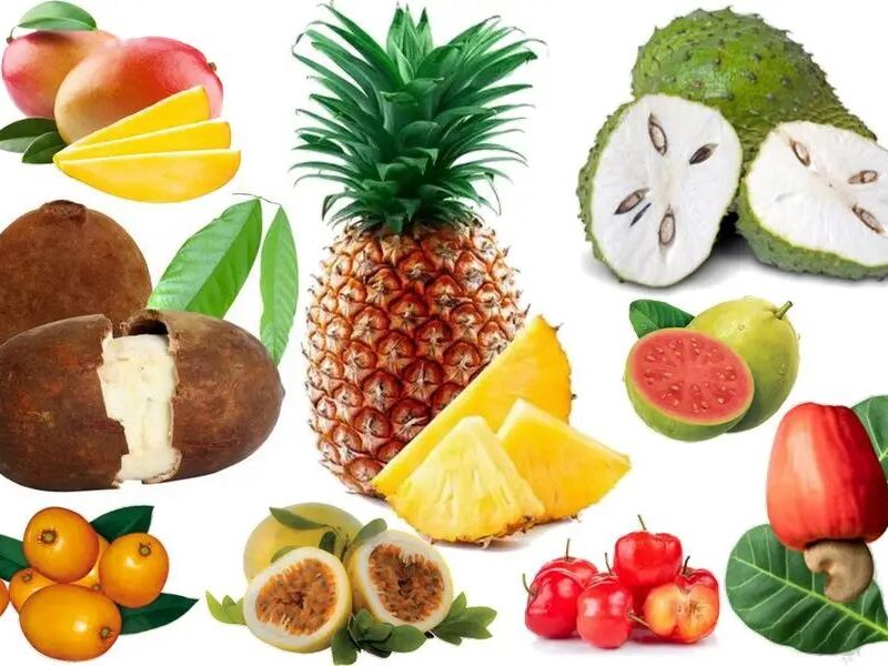 Nalto Polpas: O melhor em sabor e nutrientes das frutas tropicais